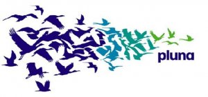 Aclaraci&oacute;n relacionada a las fuentes del PDA