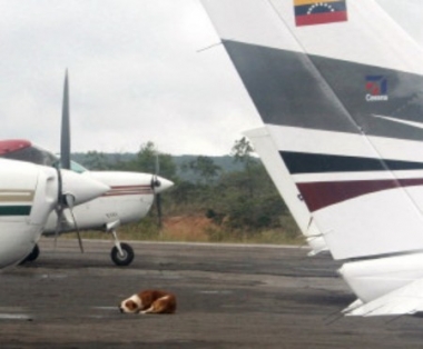 Qu&eacute; farragoso esto del progreso