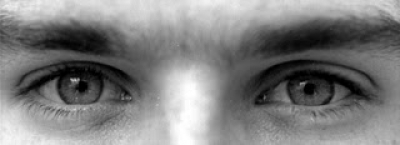 El cierre de Pluna mirado desde el sector tur&iacute;stico