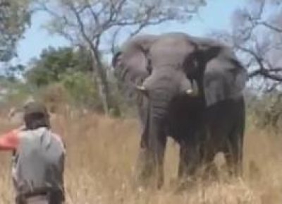 Botswana proh&iacute;be la caza comercial