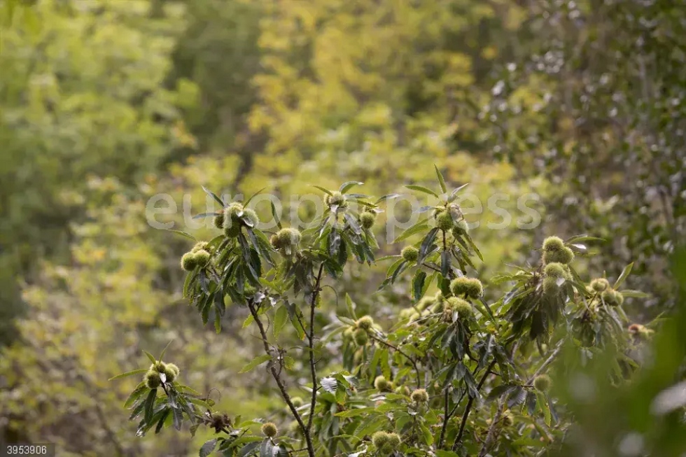 El Pacto Climático Europeo busca reducir la huella de carbono del sector turístico