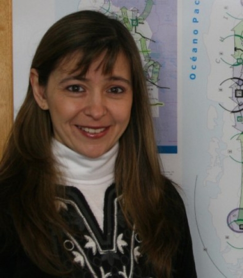 Valeria Pelliza: "El SIET es una respuesta concreta al problema de acceso a la informaci&oacute;n"