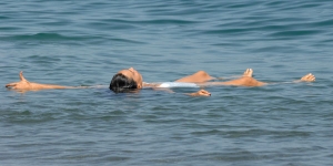 Hacerla en el agua no es necesario porque en ese elemento ya se le "vendi&oacute;" todo el pescado a Buqueb&uacute;s. Pero para los uruguayos es muy complejo y como no es posible hacer como el avestruz porque en el aire los pozos son peligrosos, inventamos la plancha...