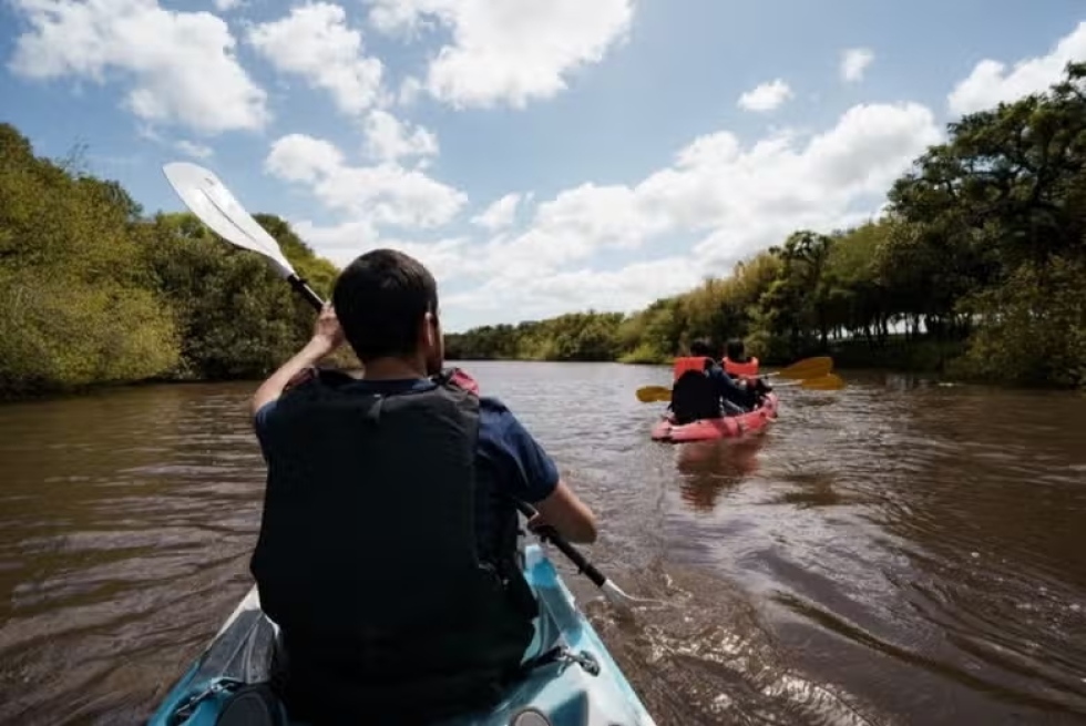 Kayak por el Arroyo San Pedro (Uruguay). 