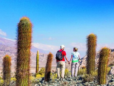 El cambio que est&aacute; en marcha