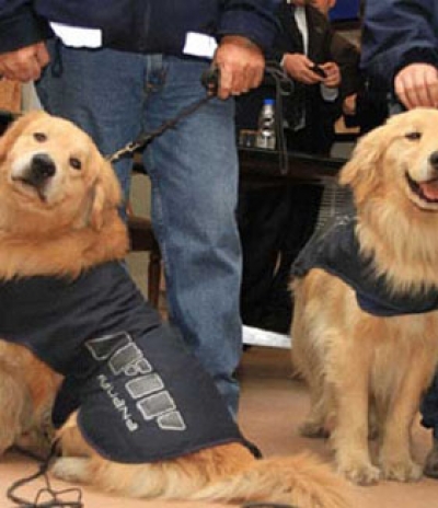 &iquest;Se le puede hacer m&aacute;s da&ntilde;o al turismo uruguayo?