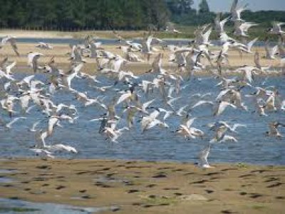 Rocha es una de las propuestas infaltables para este verano 2014 seg&uacute;n Lonely Planet