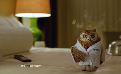 Tripadvisor se harta de alimentar al monstruo de Google
