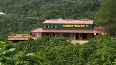 Puerto Rico lanza un programa de turismo agr&iacute;cola