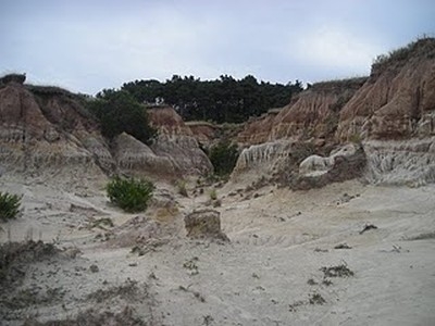 Nos salvaron el D&iacute;a... Mundial del Turismo