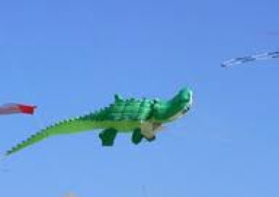 Un Presidente de la Rep&uacute;blica dijo que los cocodrilos volaban y uno de sus colaboradores le respondi&oacute;: &ldquo;S&iacute; vuelan, pero bajito&rdquo;...