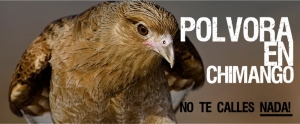 P&oacute;lvora en chimangos