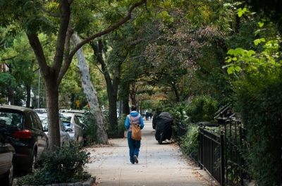 Las calles arboladas son un &iacute;cono de Prospect Heights
