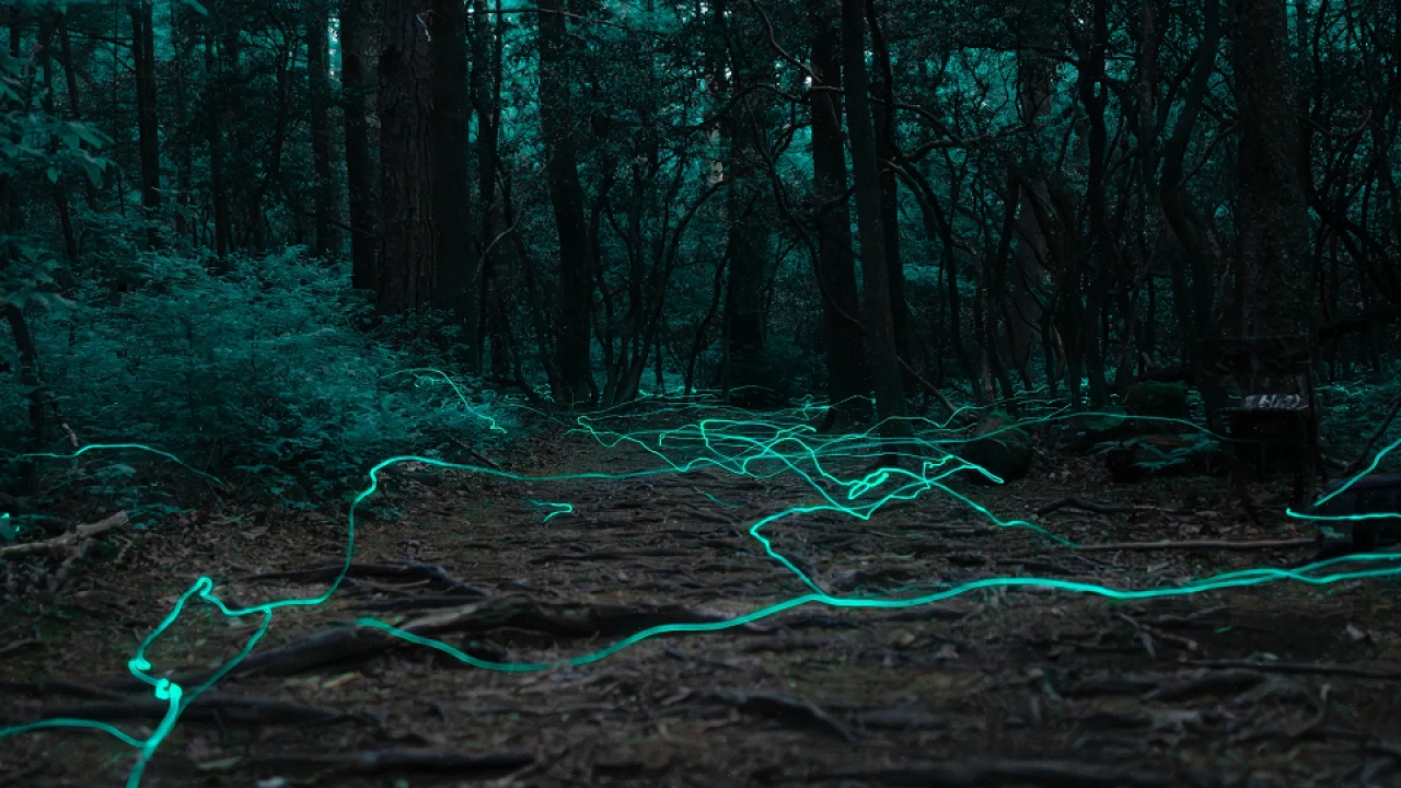 Estas misteriosas luces son como esferas luminosas que aparecen de forma repentina flotando sobre las laderas.