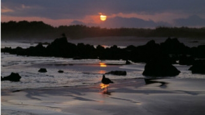 Islas Gal&aacute;pagos: &iquest;Un laboratorio en el combate al cambio clim&aacute;tico?