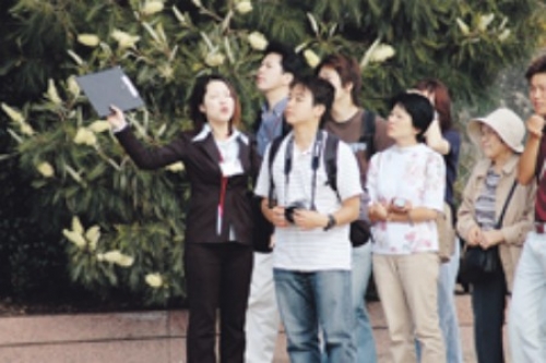 El turismo chino sale conquistar el mundo