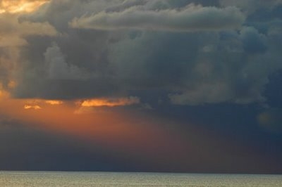 Buscadores y buscadores de precios: &iquest;se avecinan horizontes tormentosos?