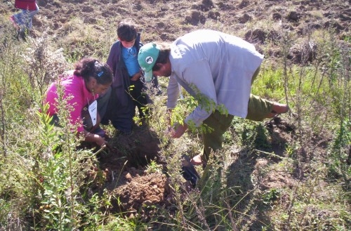 &quot;La Niña&quot; y el verano: leer con mucha atención