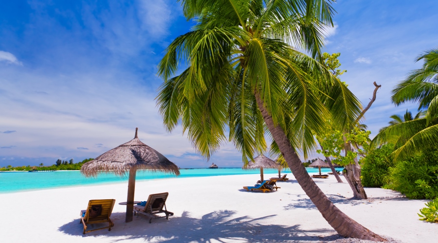 Punta Cana – Programas a medida